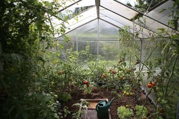 Comment fabriquer une serre tunnel pour le jardin ?