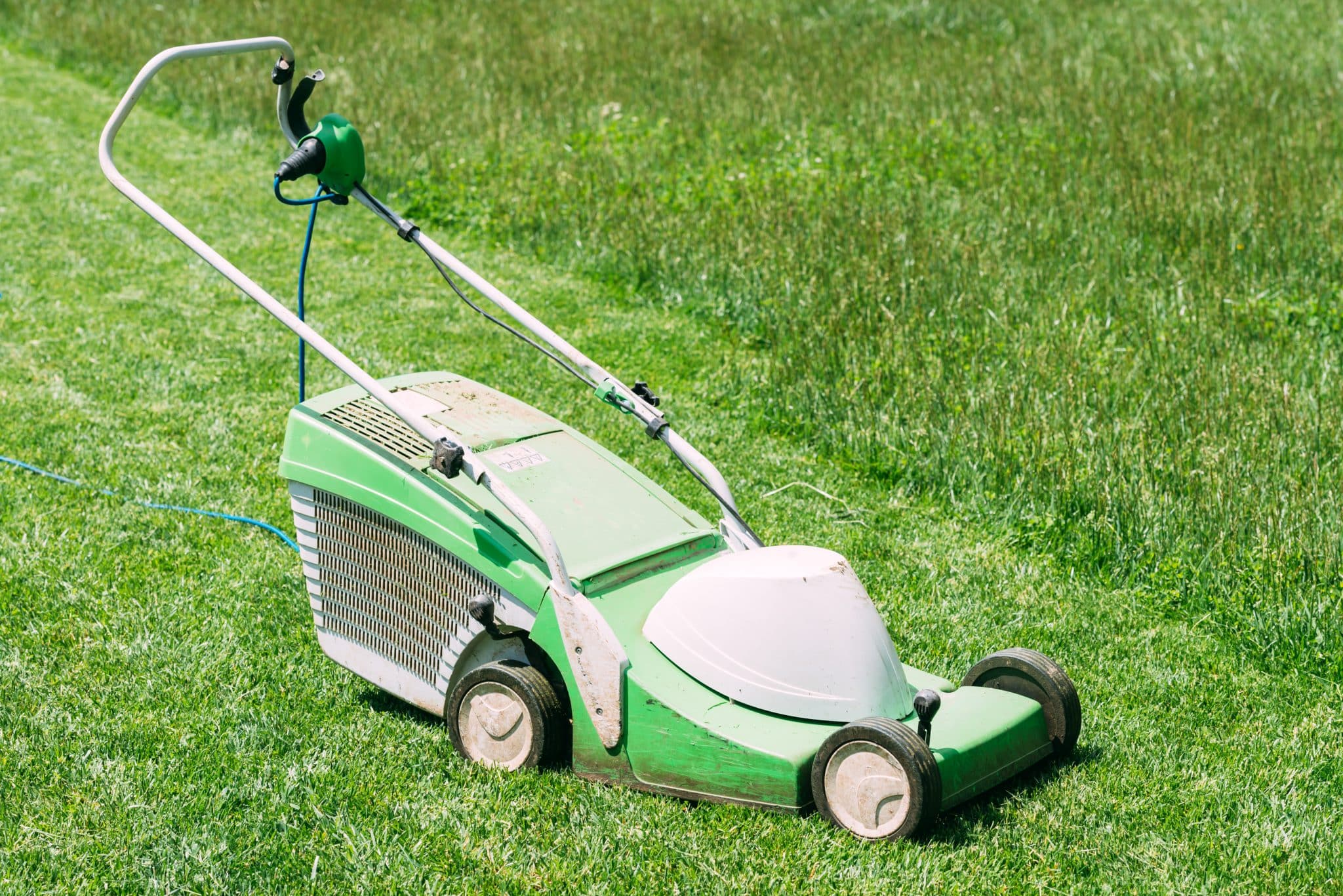 Tondeuse à gazon : Un bon investissement pour l’entretien de son jardin