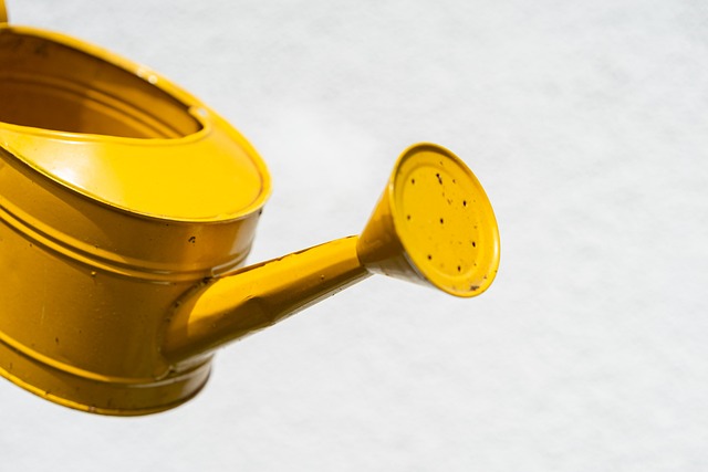 Mini arrosoirs : praticité et style pour vos plantes d’intérieur